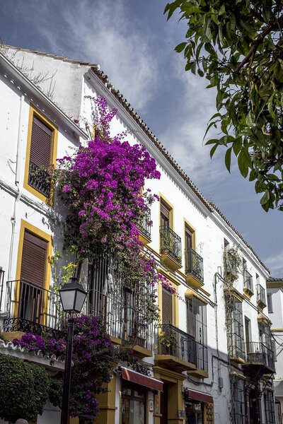Streets, corners, doors, windows and details of marbella.Spain