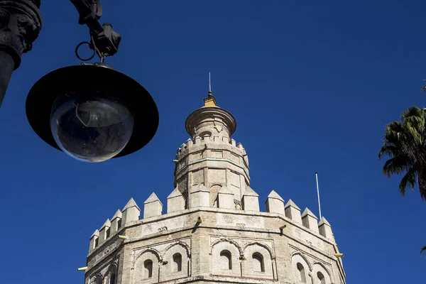 Gator och hörn av Sevilla. Andalusien. Spanien — Stockfoto