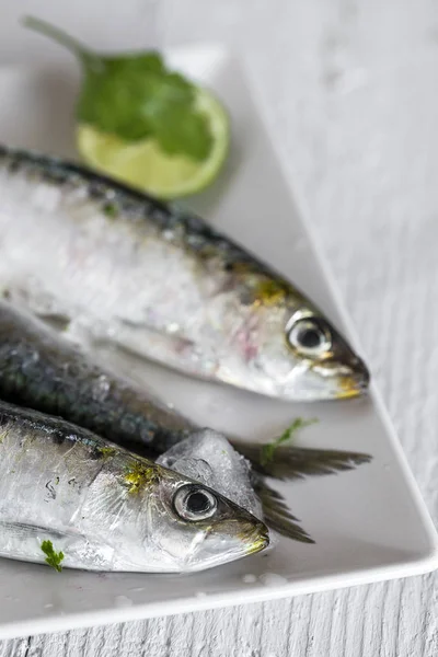 Pescado fresco crudo sobre tabla de madera. Antecedentes Desde arriba — Foto de Stock