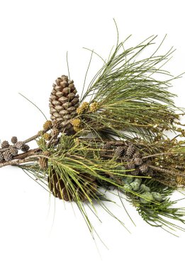 Noel süsler. Topları. Oyuncaklar. Noel Baba; Mum; Hediyeler;