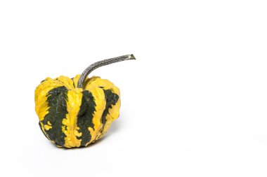 Cadılar Bayramı dekorasyon arka plan. İzole