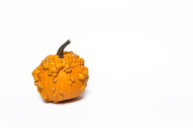 Cadılar Bayramı dekorasyon arka plan. İzole