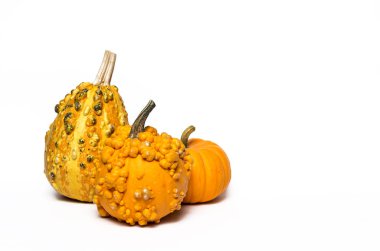 Cadılar Bayramı dekorasyon arka plan. İzole