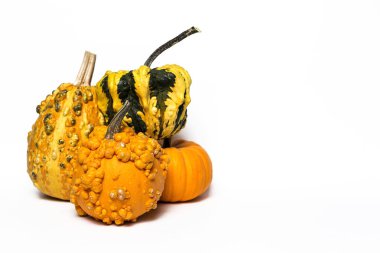 Cadılar Bayramı dekorasyon arka plan. İzole