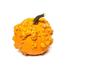 Cadılar Bayramı dekorasyon arka plan. İzole