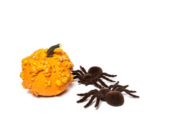 Cadılar Bayramı dekorasyon arka plan. İzole