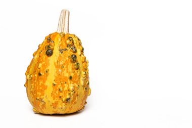 Cadılar Bayramı dekorasyon arka plan. İzole