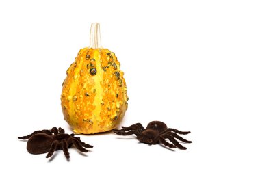 Cadılar Bayramı dekorasyon arka plan. İzole