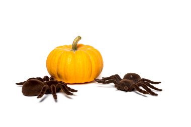 Cadılar Bayramı dekorasyon arka plan. İzole