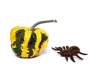 Cadılar Bayramı dekorasyon arka plan. İzole