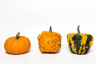 Cadılar Bayramı dekorasyon arka plan. İzole