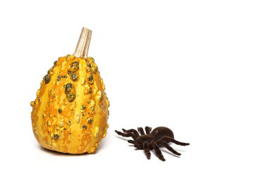 Cadılar Bayramı dekorasyon arka plan. İzole