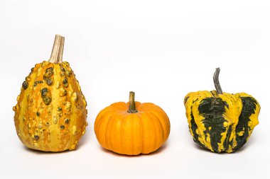 Cadılar Bayramı dekorasyon arka plan. İzole