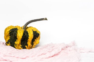 Cadılar Bayramı dekorasyon arka plan. İzole