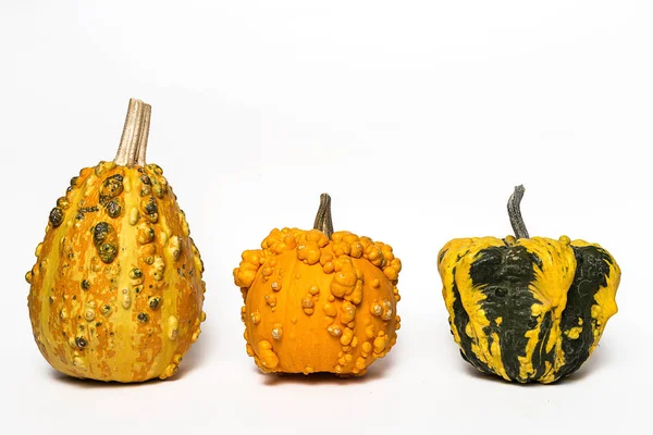 Cadılar Bayramı dekorasyon arka plan. İzole