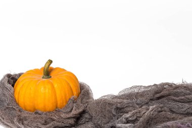 Cadılar Bayramı dekorasyon arka plan. İzole