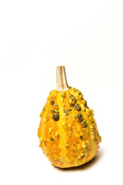 Cadılar Bayramı dekorasyon arka plan. İzole