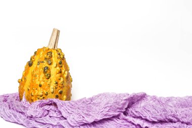 Cadılar Bayramı dekorasyon arka plan. İzole