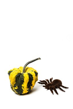 Cadılar Bayramı dekorasyon arka plan. İzole