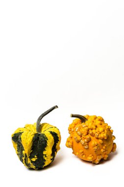 Cadılar Bayramı dekorasyon arka plan. İzole