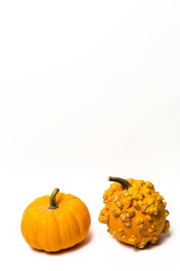 Cadılar Bayramı dekorasyon arka plan. İzole