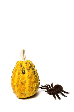 Cadılar Bayramı dekorasyon arka plan. İzole