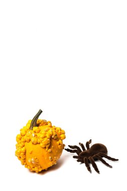 Cadılar Bayramı dekorasyon arka plan. İzole