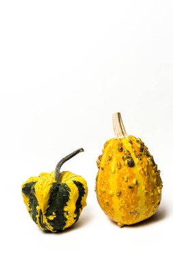 Cadılar Bayramı dekorasyon arka plan. İzole