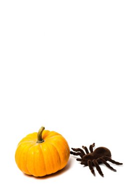 Cadılar Bayramı dekorasyon arka plan. İzole