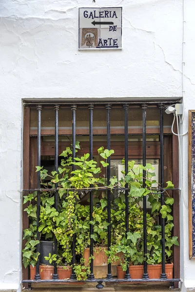 Arcos de la Frontera. Andalusian. Spain