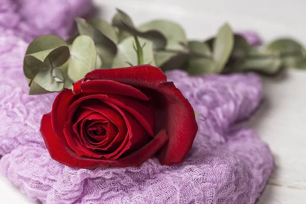 Krásná romantická skladba. Den svatého Valentýna — Stock fotografie