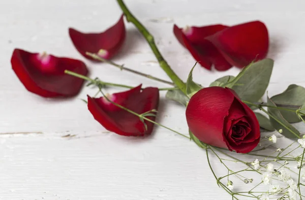 Schöne romantische Komposition. Valentinstag — Stockfoto