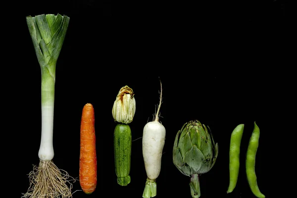 Fresh vegetables knolling composition on white background — Stock Photo, Image