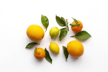 Yukarıdan portakal, mandalina ve limon görünüyor