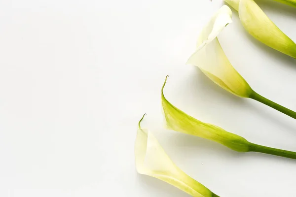 Beautiful Bouquets Fresh Spring Flowers White Background Roses Yellow Flowers — Stock Photo, Image