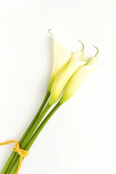 白い背景の上から新鮮な春の花の美しい花束 黄色の花や入り江 — ストック写真