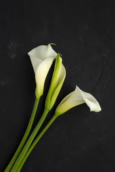 Hermosos Ramos Flores Frescas Primavera Desde Arriba Sobre Fondo Oscuro — Foto de Stock