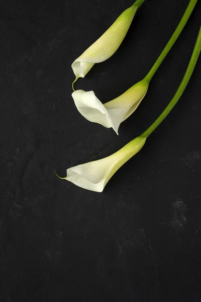 暗い背景の上から新鮮な春の花の美しい花束 黄色の花や入り江 — ストック写真