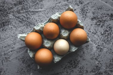 Gri arkaplanda iki renkli tavuk ve bıldırcın yumurtası. Düz manzara.