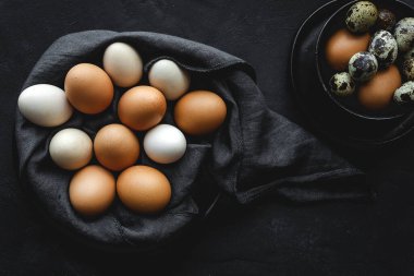 İki renkli tavuk ve bıldırcın yumurtası. Arka planda. Düz manzara.