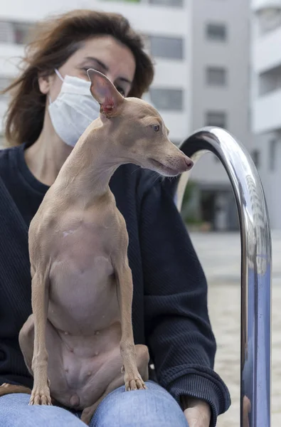Woman Protective Mask Coronavirus Quarantine Playing Dog Urbanization Empty Pool — Stock Photo, Image