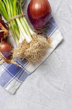Gri arka planda taze kırmızı ve beyaz soğan. Vejetaryen yiyecekler. Yiyecek.