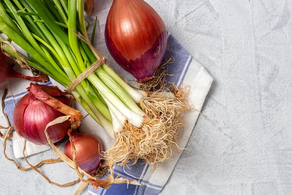Fresh Red White Onions Gray Background Vegan Food Food Ingredient — Stock Photo, Image