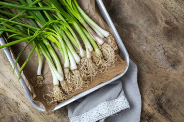 Ahşap arka planda taze kırmızı ve beyaz soğan. Vejetaryen yiyecekler. Yiyecek.