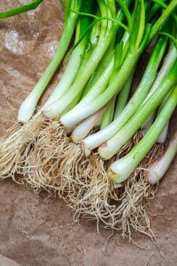 Ahşap arka planda taze kırmızı ve beyaz soğan. Vejetaryen yiyecekler. Yiyecek.