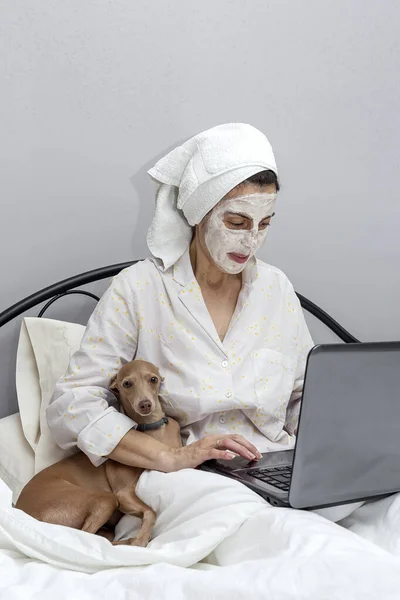 成熟的女人带着面具躺在床上照顾自己的脸 带着一只狗 在冷藏箱 19隔离期间在笔记本电脑上工作 Coronavirus概念 — 图库照片