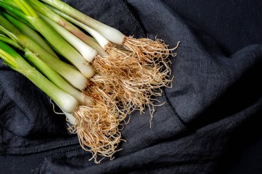 Koyu arkaplanda taze kırmızı ve beyaz soğan. Vejetaryen yemeği. Yiyecek.
