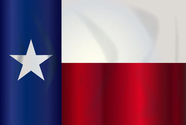 Statligt flagga texas — Stock vektor