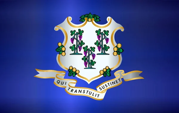 Bandiera di Stato del Connecticut Gloss — Vettoriale Stock