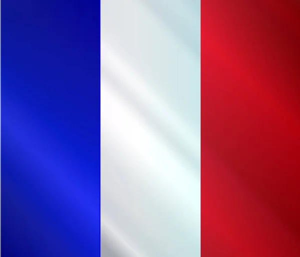 French Grunge Flagge Glanz — Stockvektor